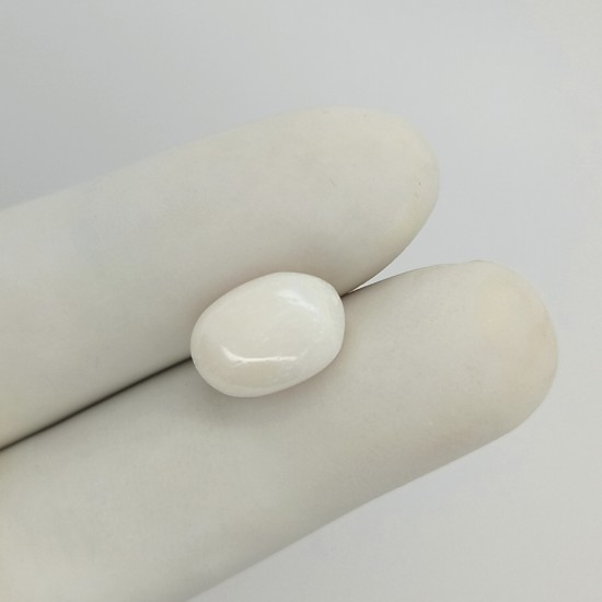 White Coral (Safed Moonga)  6.16 Ct Certified